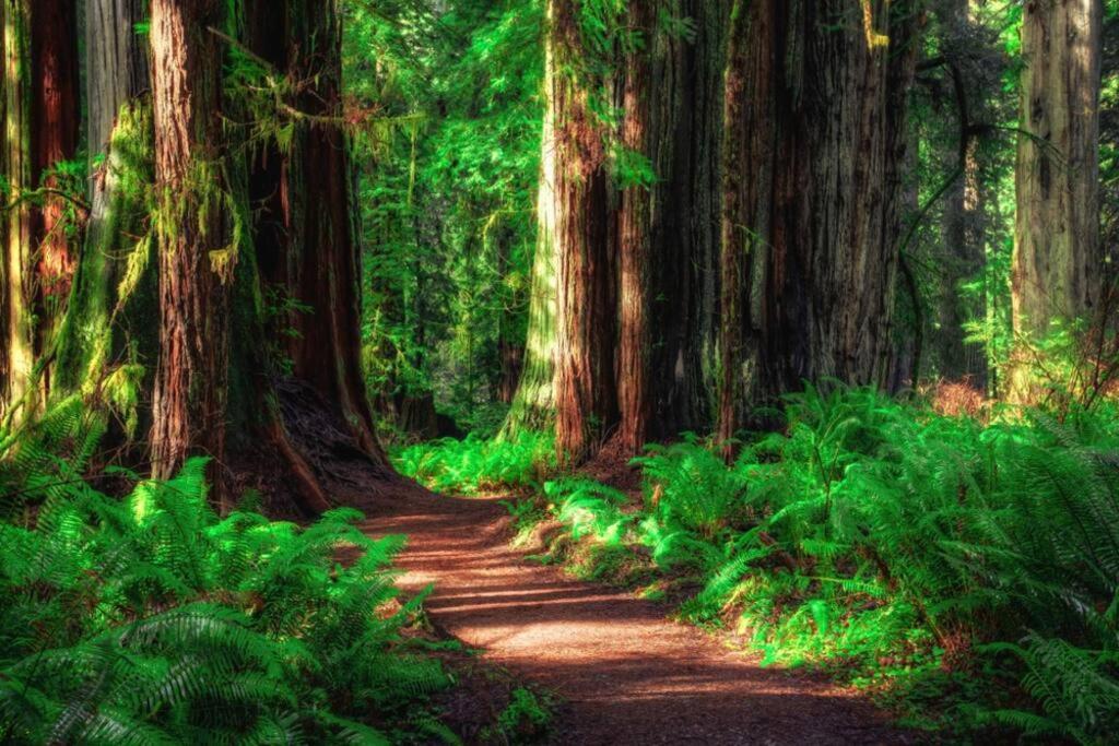 Bear Mountain - Suite 8 Grants Pass Esterno foto